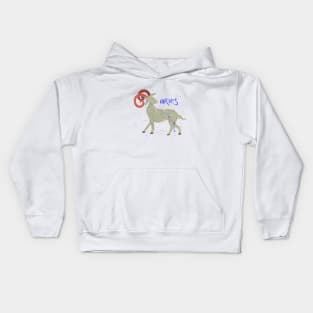 Aries Kids Hoodie